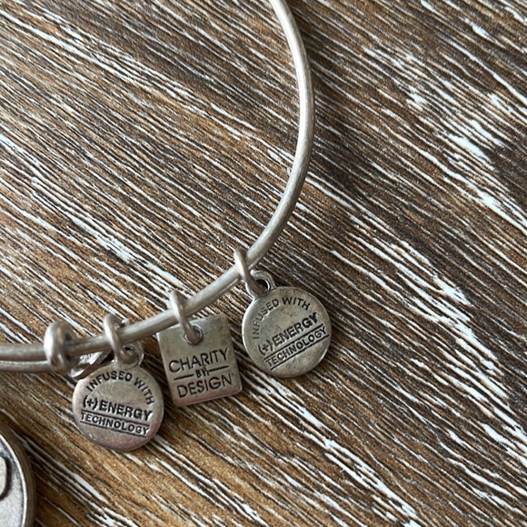 Alex and Ani Paw Print Charm Bracelet - Picture 2 of 7